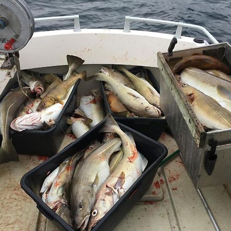 Hammerstad Camping Svolvaer Bagian luar foto