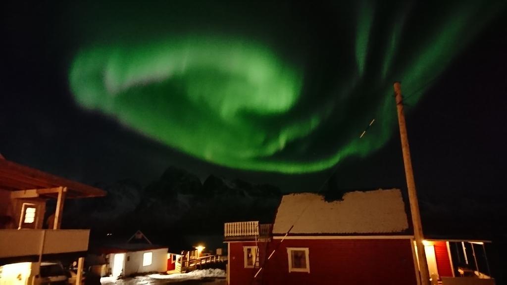 Hammerstad Camping Svolvaer Bagian luar foto